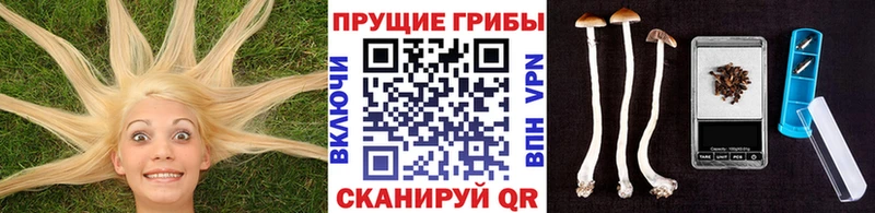 Псилоцибиновые грибы GOLDEN TEACHER Ветлуга